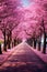 Tree-Lined Street With Pink Flowers