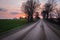 Tree lined unpaved country road at sunset
