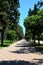 Tree lined walking path with tiles at seaside resort Batumi Georgia