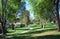 Tree lined walkway in Laguna Woods, Caliornia