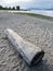 Tree log on Jericho beach in Vancouver