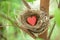 Tree Love Nest Heart Valentine Green