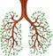 Tree lungs cartoon,