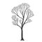 Tree, many branches, halloween design vector drawing