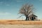 a tree in the middle of an empty field