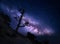 Tree on the mountain against Milky Way. Night landscape