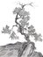 Tree on mountain Chinese drawing