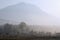 Tree and Mountain in the Mist