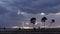 The Tree in Nature and Clouds and People Silhouette