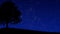 Tree at Night (Animated Background)