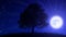Tree at Night with Moon (Animated Background)