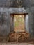 Tree in old window inside vintage Thai temple