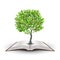 Tree on open book design vector illustration