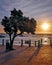 Tree overlooking Camps Bay Tidal Pool in Cape Town South Africa