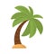Tree palm beach isolated icon