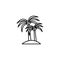 Tree palms tropical line icon