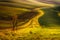 Tree and path between fields in Moravian Tuscany