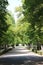 Tree perspective in Aranjuez gardens, Spain