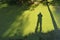 Tree and photographer shadows on green water with duckweed