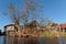 Tree and a pile houses village