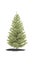 Tree pine fir 3d cg