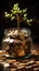 tree plant growing on ground made of money depicting Continuous Business Growth Investment concept and profitability concept