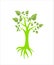 Tree plant leave nature environment icon