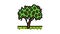 tree plant lemon color icon animation