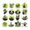 Tree planting and green gardening horticulture vector icons set