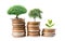 Tree plumule leaf on save money coins, Business finance saving banking investment concept
