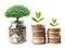 Tree plumule leaf on save money coins, Business finance saving banking investment concept