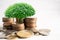 Tree plumule leaf on save money coins, Business finance saving banking investment concept