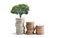 Tree plumule leaf on save money coins, Business finance saving banking investment concept