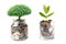 Tree plumule leaf on save money coins, Business finance saving banking investment concept