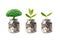 Tree plumule leaf on save money coins, Business finance saving banking investment concept