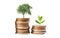 Tree plumule leaf on save money coins, Business finance saving banking investment concept