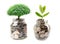 Tree plumule leaf on save money coins, Business finance saving banking investment concept