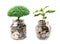 Tree plumule leaf on save money coins, Business finance saving banking investment concept