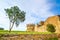 Tree in Populonia medieval village landmark, city walls and tower on background. Tuscany, Italy.