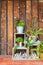 Tree Pot on shelves in front of wooden wall