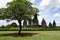 Tree and Prambanan temples panorama