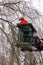 Tree pruning, lumberjack with a chainsaw on an elevated work pl