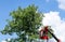 Tree pruning and sawing by a man with a chainsaw standing on the platform of a mechanical chairlift