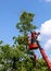 Tree pruning and sawing by a man with a chainsaw standing on the platform of a mechanical chairlift