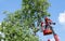 Tree pruning and sawing by a man with a chainsaw standing on the platform of a mechanical chairlift