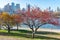 Tree with Red Berries along the Empty Waterfront at Rainey Park in Astoria Queens New York during Autumn along the East River