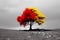 Tree with red and yellow leaves against a black and white landscape