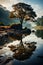 Tree reflected in the lake. Dramatic and picturesque scene.