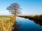 Tree reflecting in water of canal in polder Eempolder in province of Utrecht, Netherlands
