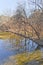 Tree reflection at Brushy Creek Regional Trail